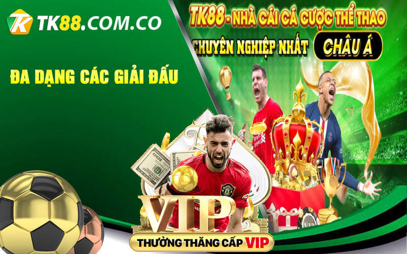 Da dang cac giai dau
