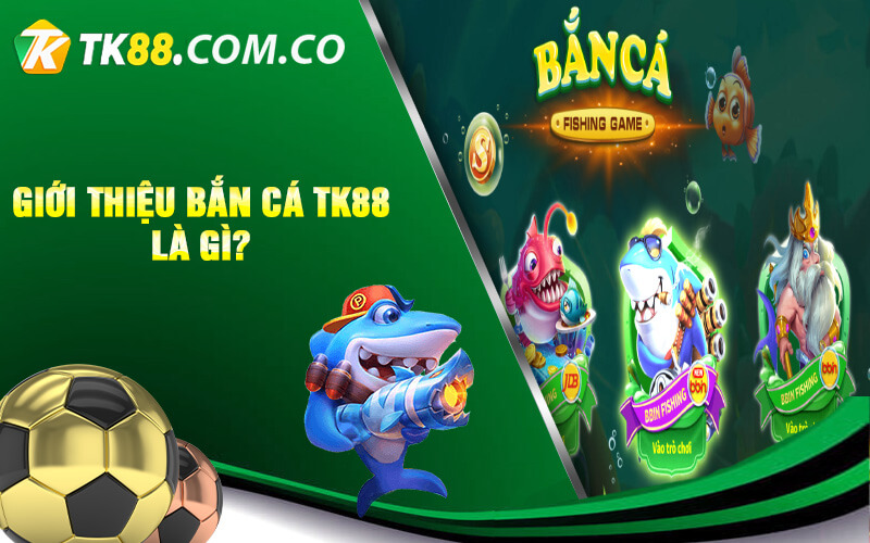 Gioi thieu ban ca TK88 la gi