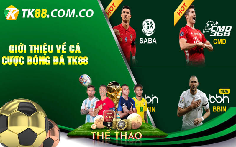 Gioi thieu ve ca cuoc bong da TK88