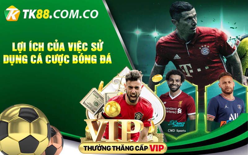 Loi ich cua viec su dung ca cuoc bong da