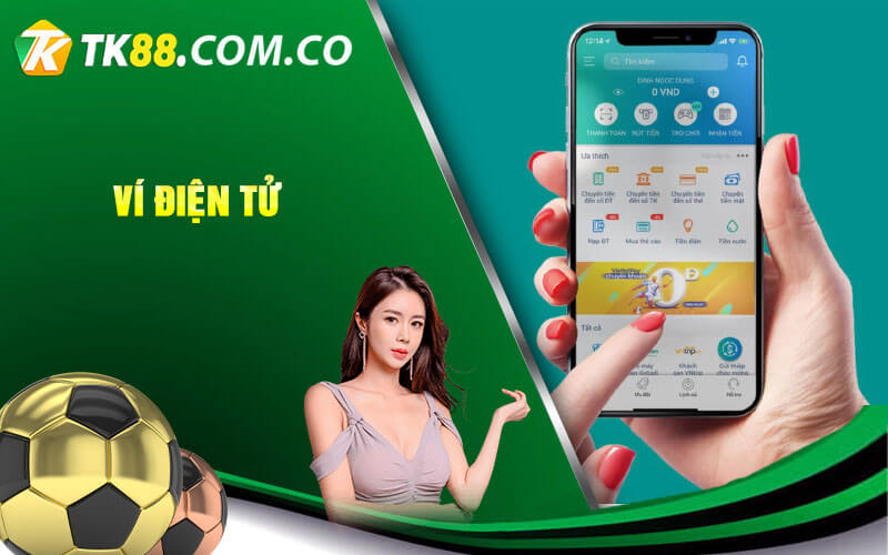Vi dien tu
