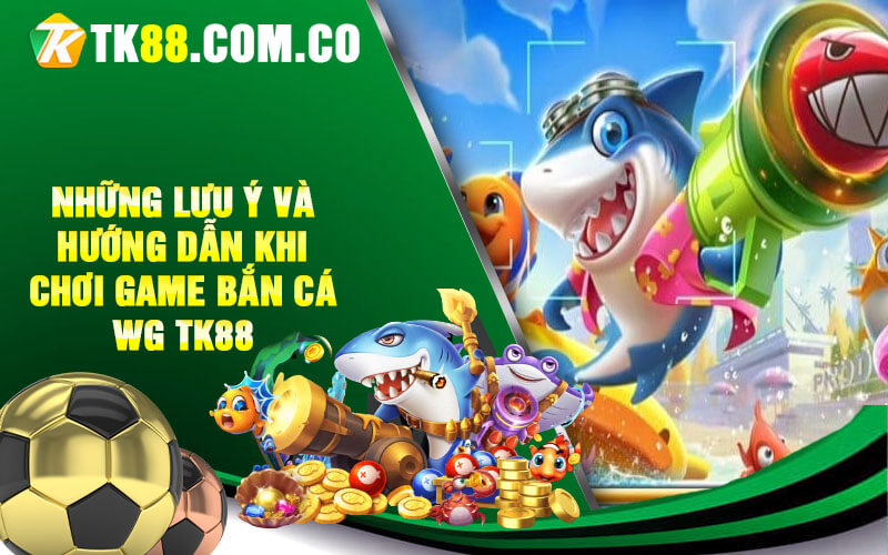 Nhung luu y va huong dan khi choi game ban ca WG TK88