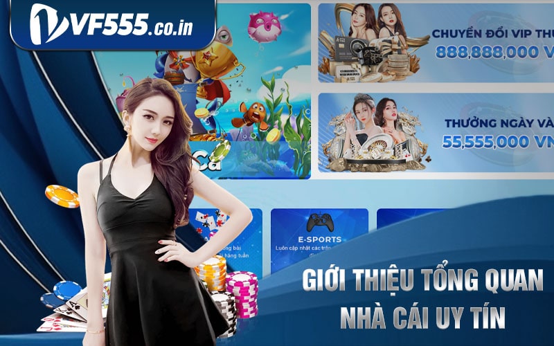 Giới Thiệu Tổng Quan VF555