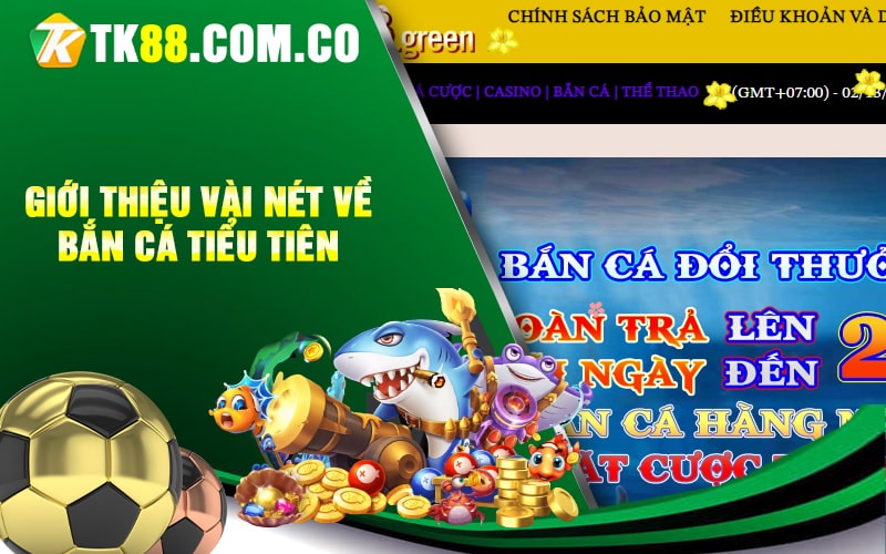 Giới Thiệu Vài Nét Về Bắn Cá Tiểu Tiên